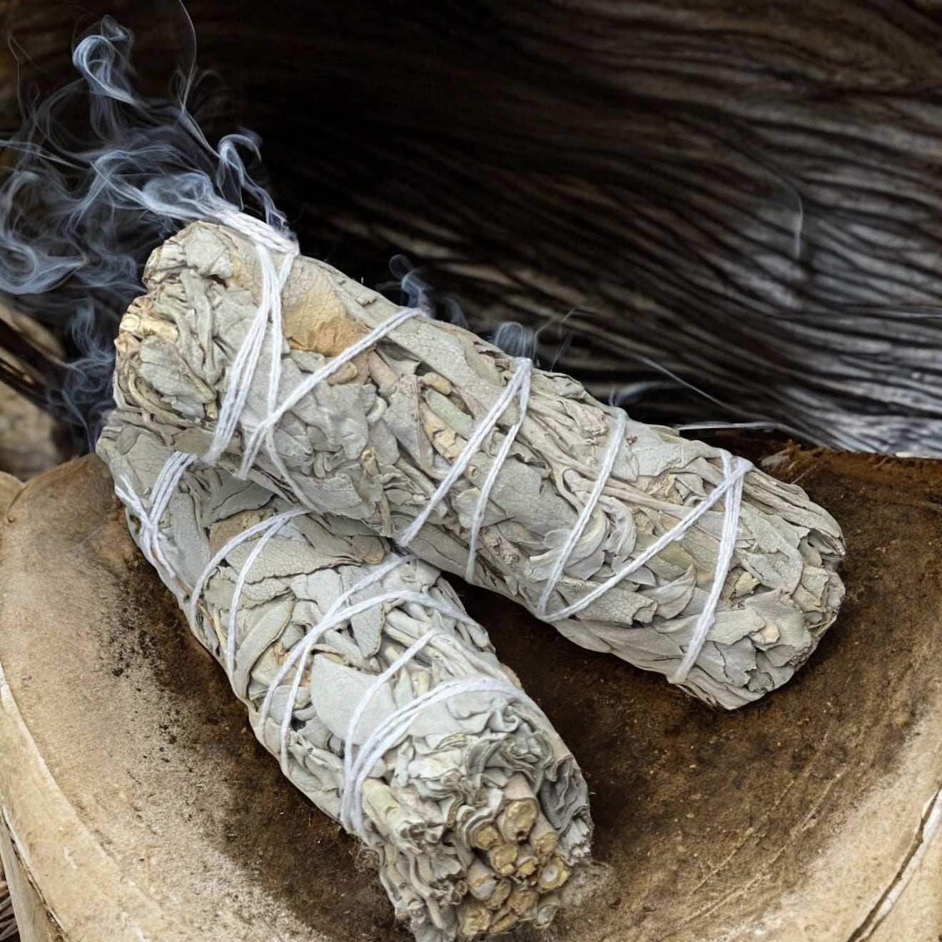 White sage (1) Salvia blanca
