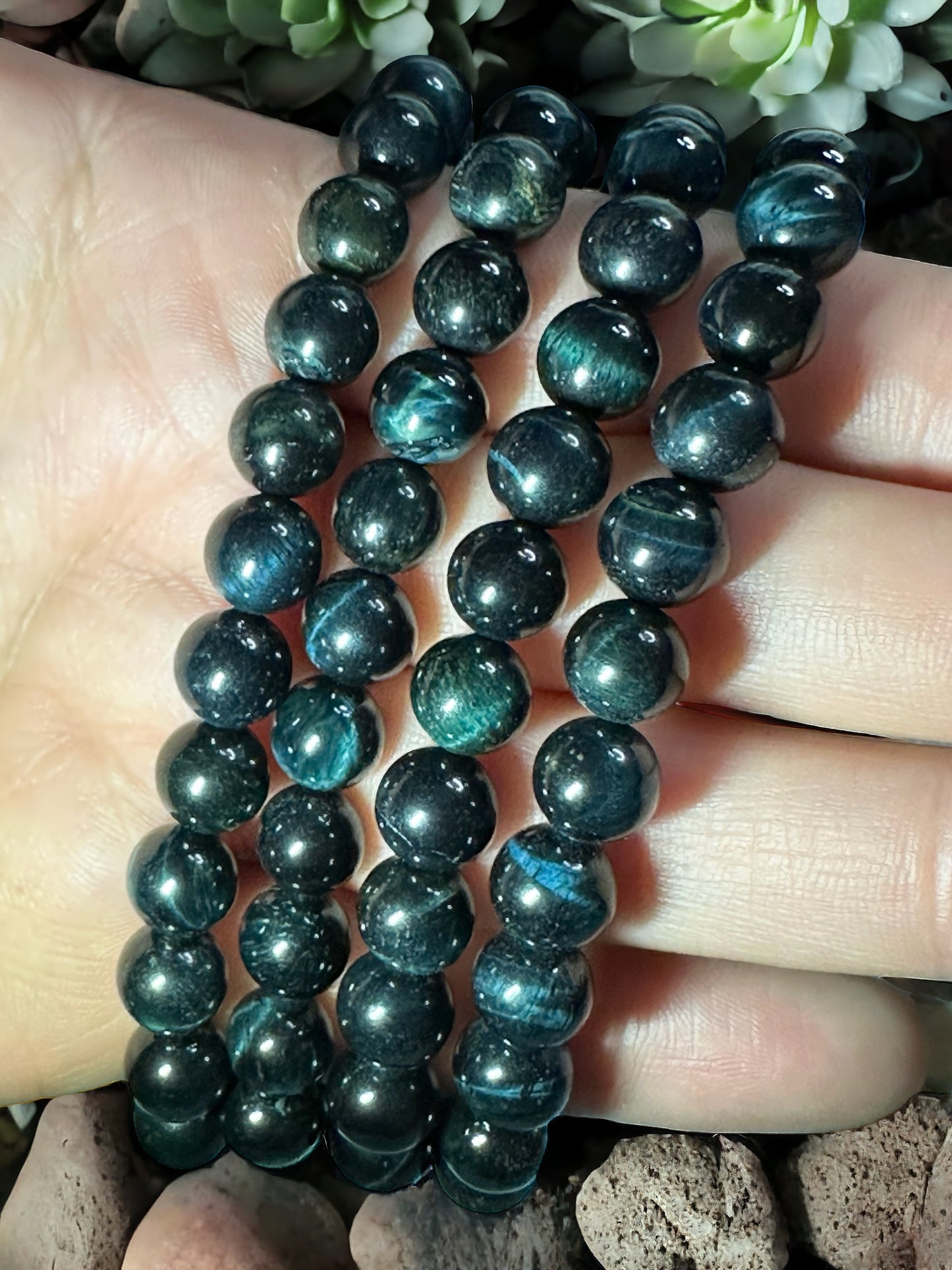 Blue Tigers eye
