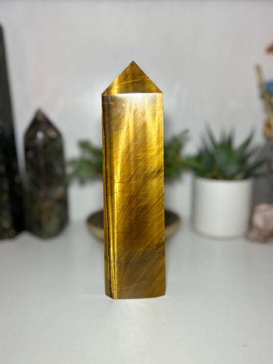 Tigers eye tower