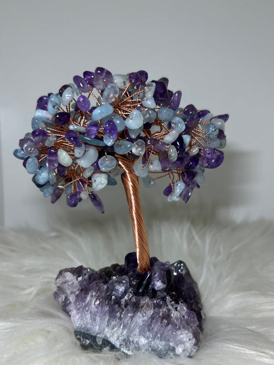 Money tree