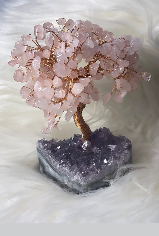 Love, protection Money tree