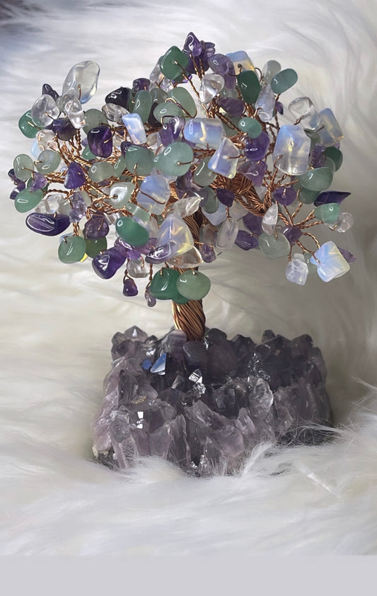 Money tree